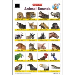 Animal Sounds